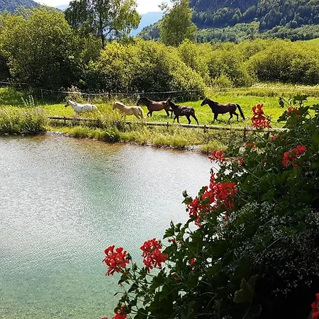 Golf- Und Moarhof Hotel 4*