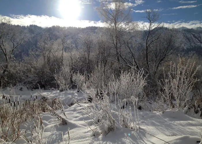 호텔 Golf- Und Moarhof 왈츠시