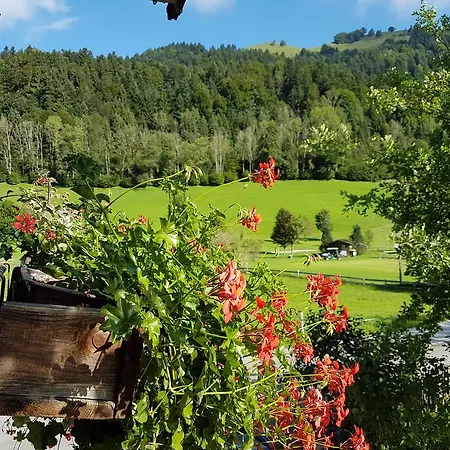 Hotel Golf- Und Moarhof 4*